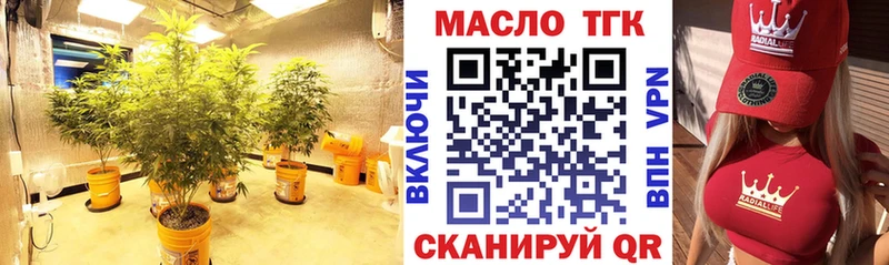 ТГК Wax  Усть-Джегута 