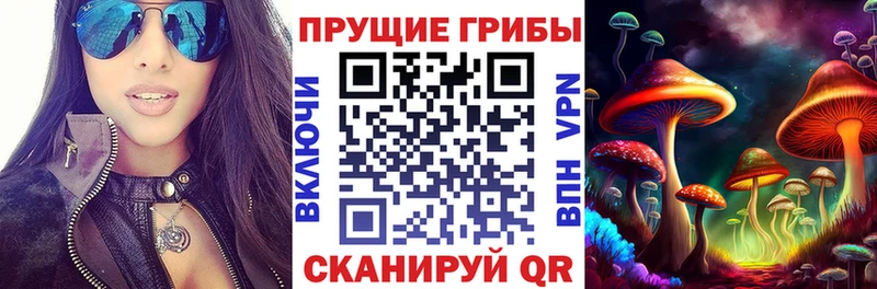 купить  цена  omg ССЫЛКА  Галлюциногенные грибы Psilocybe  Усть-Джегута 